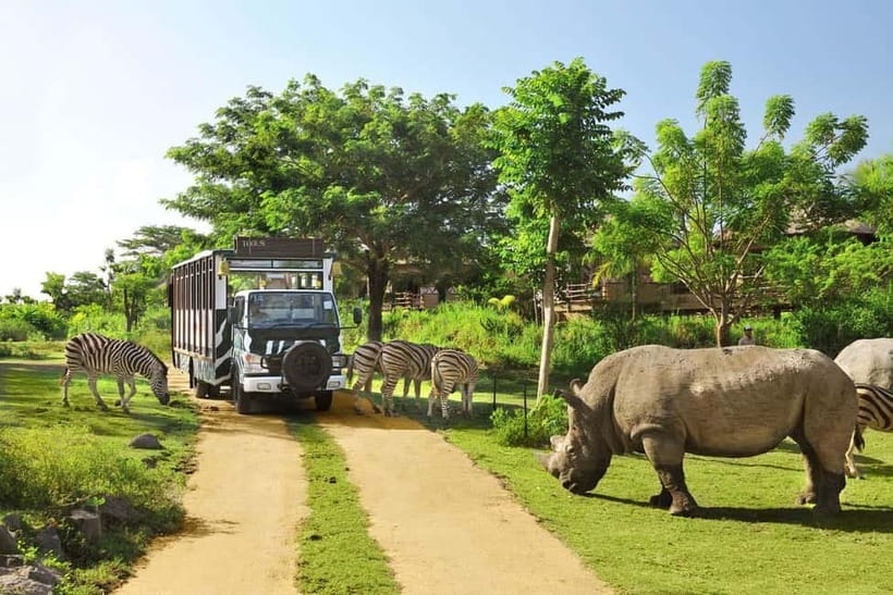 Bali: Taman Safari and Elephant Feeding with Hotel Transfer - Why Taman Safari Bali works well for a full family day