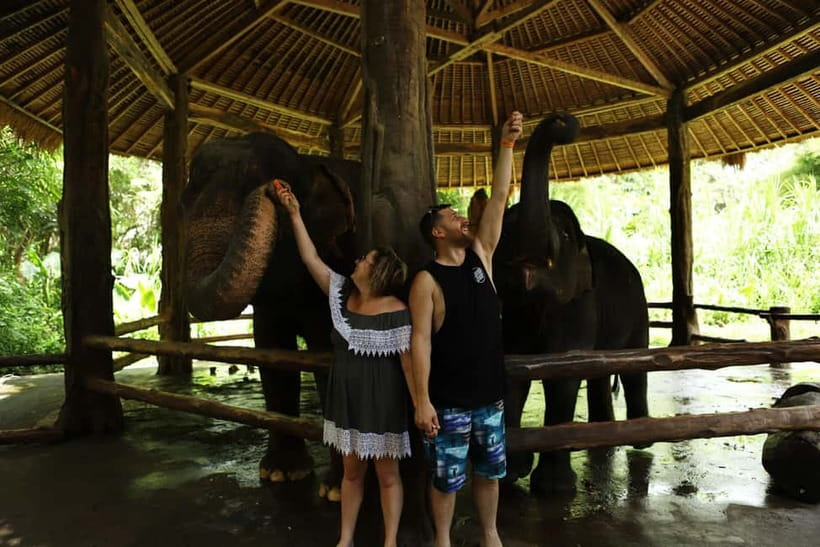 Bali: Taman Safari and Elephant Feeding with Hotel Transfer - Hotel pickup makes the Bali traffic easier