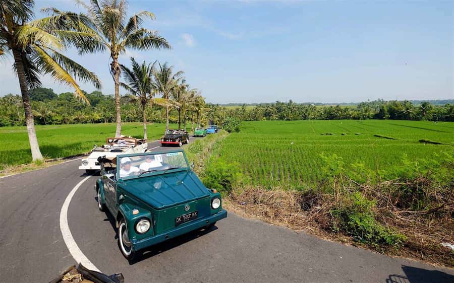 Bali: Vintage VW Jeep Countryside Safari - Key points to know before booking