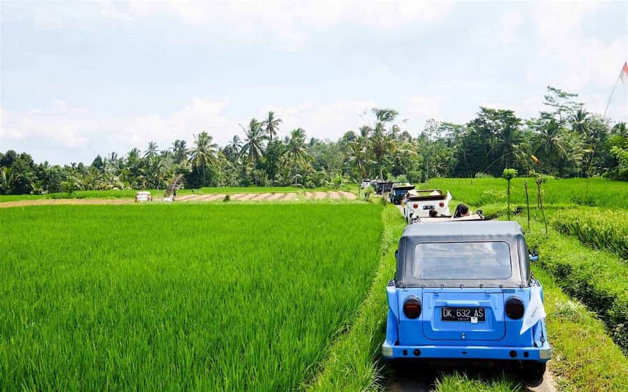 Bali: Vintage VW Jeep Countryside Safari - Pejaten and the hands behind Bali’s ceramics