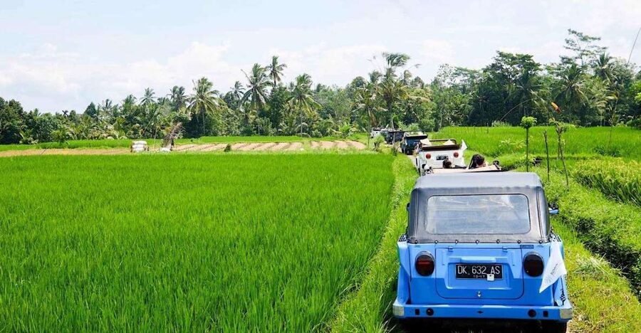 Bali: Vintage VW Jeep Countryside Safari - Timing, pickup, and practical limits