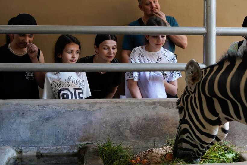 Bali Zoo: Behind Closed Doors Afternoon Safari Guided Tour - Feeding Time With Lions and Tigers