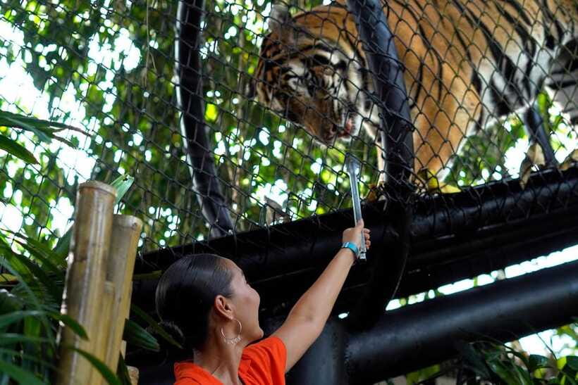Bali Zoo: Behind Closed Doors Afternoon Safari Guided Tour - How Much Time Should You Allow?