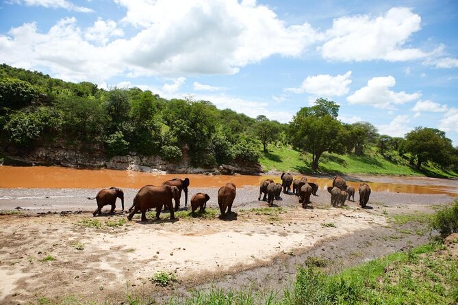 Balloon Safari & Bush Breakfast in Serengeti - Miracle Experience - Key points to know before booking
