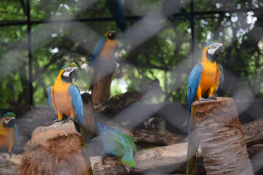 Bangkok Safari & Marine Park - What the hotel transfer adds