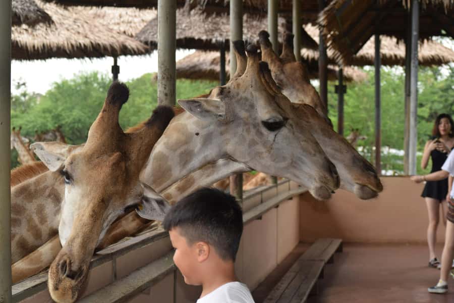 Bangkok Safari & Marine Park - Eight hours gives you room to set your own pace