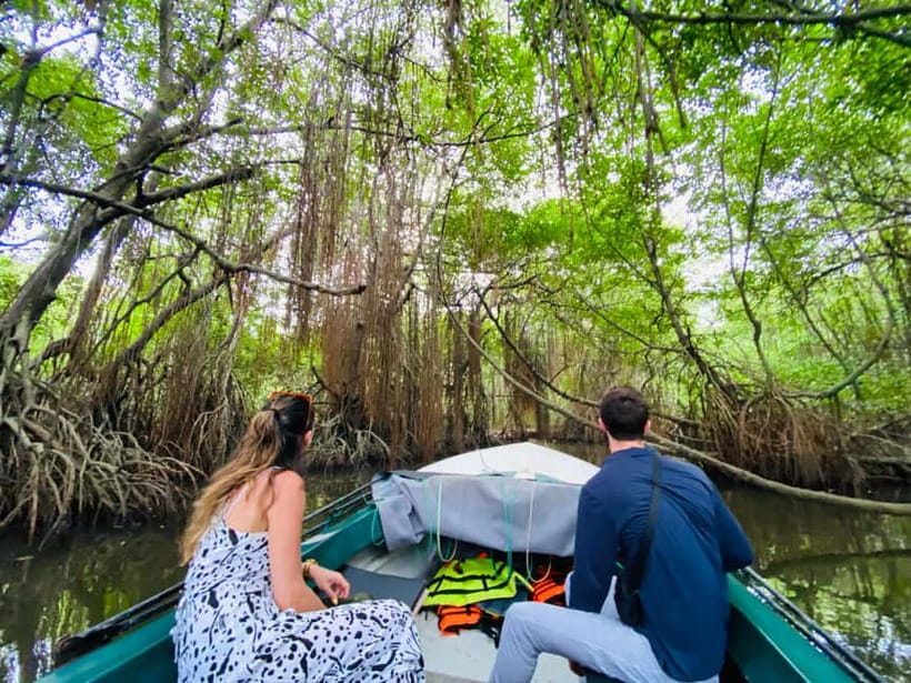 Bentota River Safari: Discover Wildlife & Mangroves by Boat - Birds, bats, monkeys, and the quieter sightings