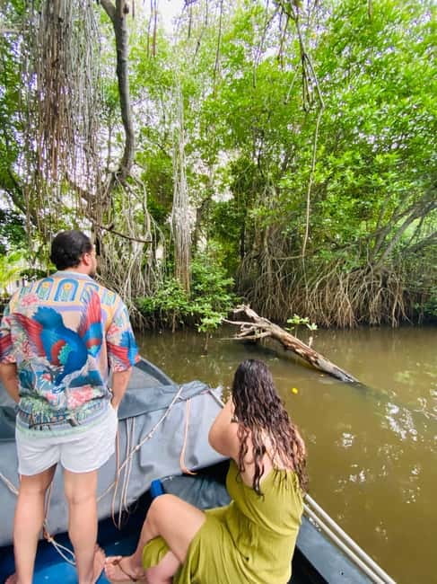Bentota River Safari: Discover Wildlife & Mangroves by Boat - What the $20 price includes