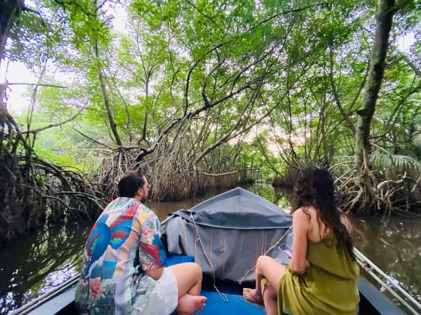Bentota River Safari: Discover Wildlife & Mangroves by Boat - Timing, comfort, and what to bring
