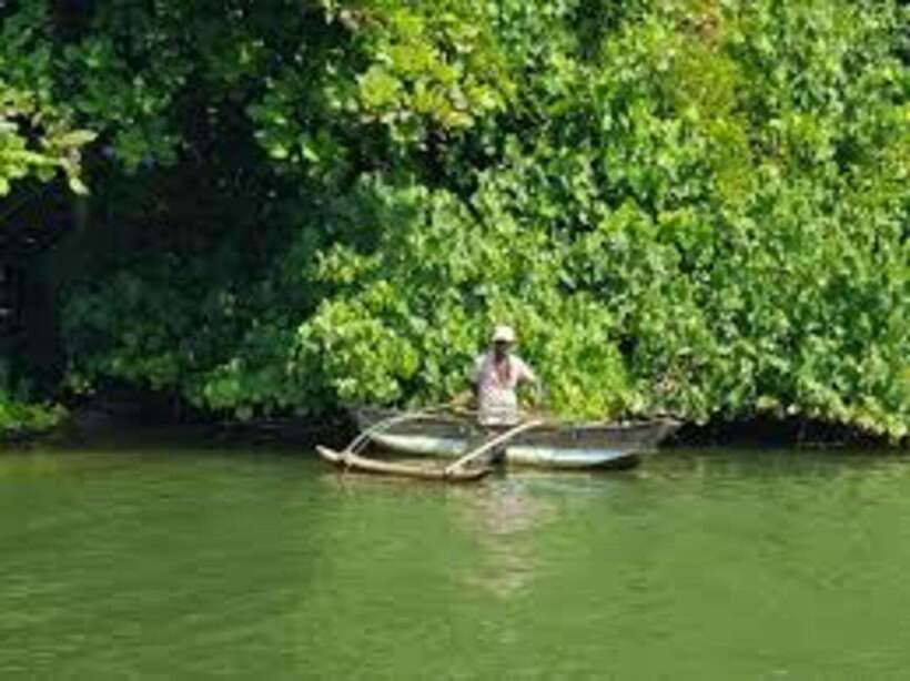 Bentota: River Safari with Hotel Pickup and Drop-Off - A quiet way to meet the Bentota River
