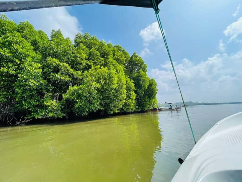 Bentota: River Safari with Hotel Pickup and Drop-Off - What the two-hour itinerary feels like