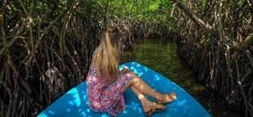 Bentota: River Safari with Hotel Pickup and Drop-Off - Why the private group matters