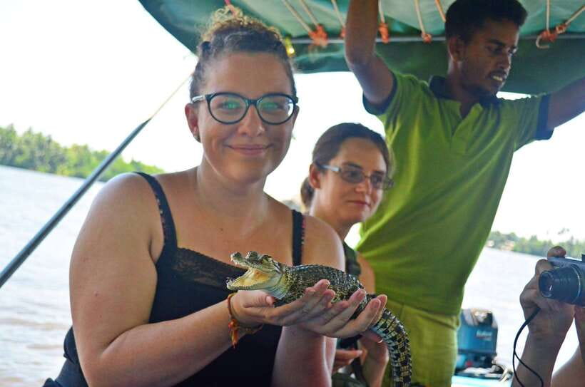 Bentota River Safari with Mangrove and Wildlife Encounter - Key points at a glance