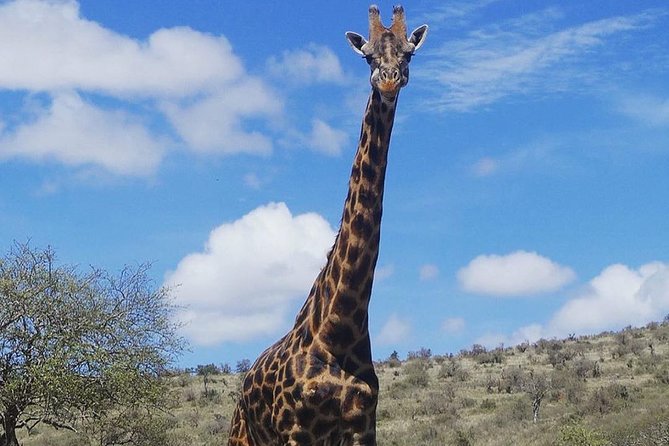 Best 3 days Tanzania shared Safari Tarangire Ngorororo Manyara - Day Three: Lake Manyara Before Returning to Arusha
