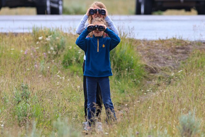 Best of Yellowstone - Guided National Park Safari Tour - A long Yellowstone day from Jackson Hole