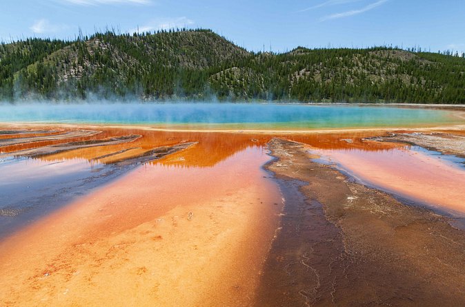 Best of Yellowstone - Guided National Park Safari Tour - Old Faithful and the Fountain Paint Pot