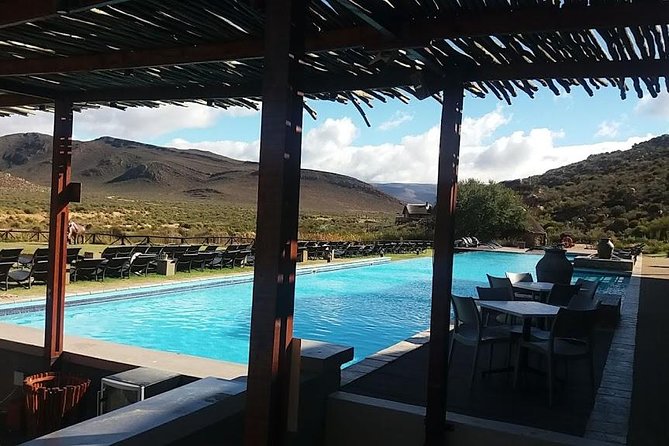 Big 5 Full Day Safari Aquila Lunch plus Breakfast From Cape Town - Lunch and the return to Cape Town