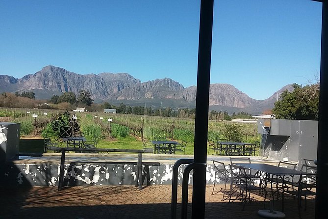 Big 5 Full Day Safari Aquila Lunch plus Breakfast From Cape Town - Who should book this safari