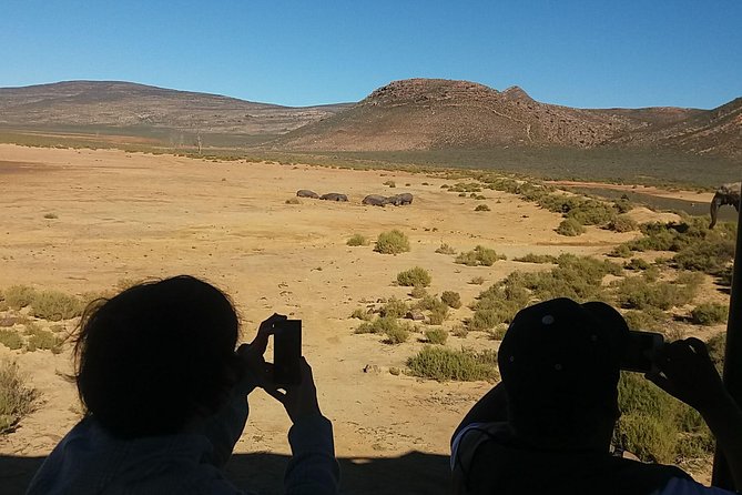 Big 5 Full Day Safari Aquila Lunch plus Breakfast From Cape Town - Leaving Cape Town for Paarl and the mountain road