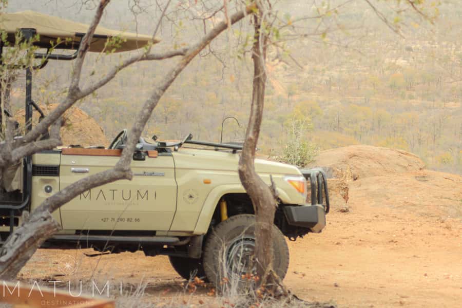 Big 5 Safari Am or Pm - Four hours in Kruger National Park