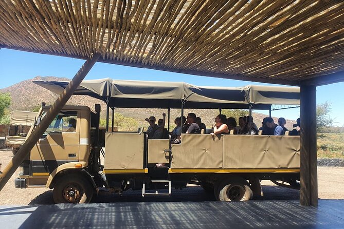 Big 5 Safari Aquila Full Day Private Return From Cape Town - What the two to three-hour game drive feels like