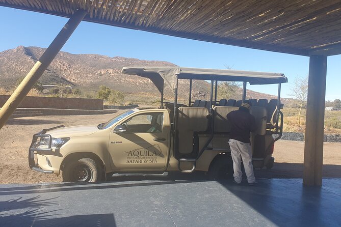 Big 5 Safari Aquila Full Day Private Return From Cape Town - Lunch beside the reserve pool