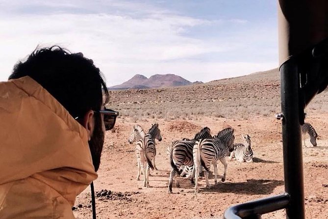 Big 5 Safari One Day Tour - Four hours inside Aquila Private Game Reserve