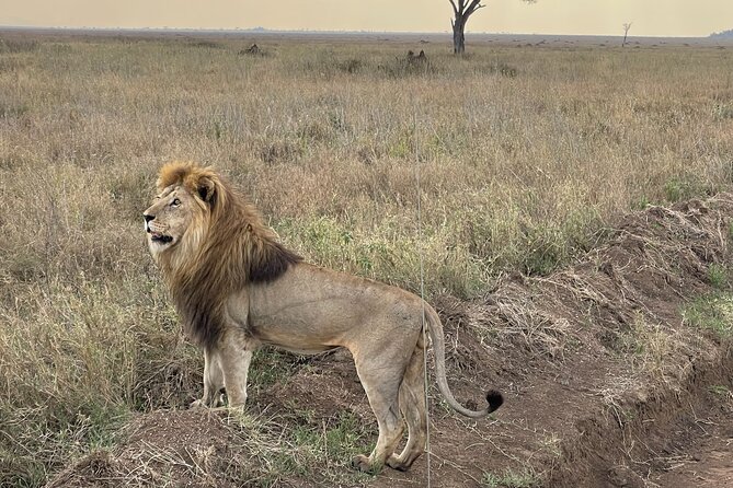 Big Five Dream Safari - Why this safari has such a strong route