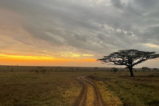 Big Five Dream Safari - A walking safari changes the pace