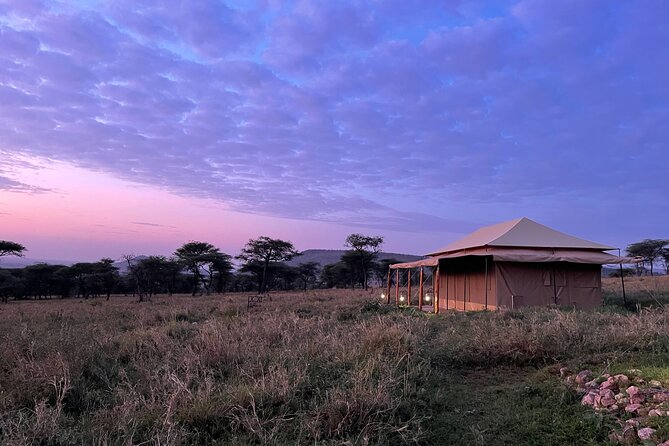 Big Five Dream Safari - Serengeti and the appeal of open country