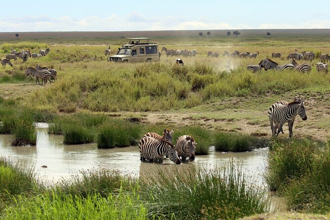 Big Five Luxury 7 Days Safari Tour in Arusha - Four parks, one classic northern Tanzania route