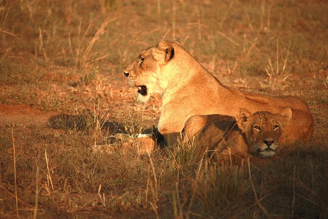 Big Five Luxury Safari in Tanzania - Day 3: The long road to Serengeti