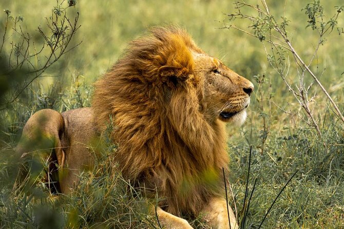 Big Five Luxury Safari in Tanzania - Day 2: Lake Eyasi adds birds and a quieter setting