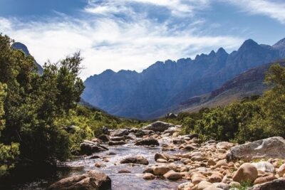 Big Five Safari and Breede River Valley Guided Day Trip