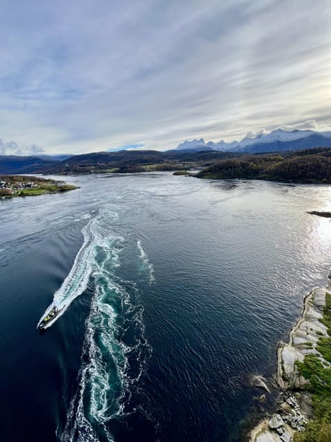 Bodø: Saltstraumen RIB Safari - The RIB ride across the Norwegian Sea
