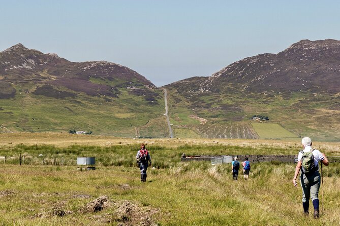 Bog Safari Hike - Key points at a glance