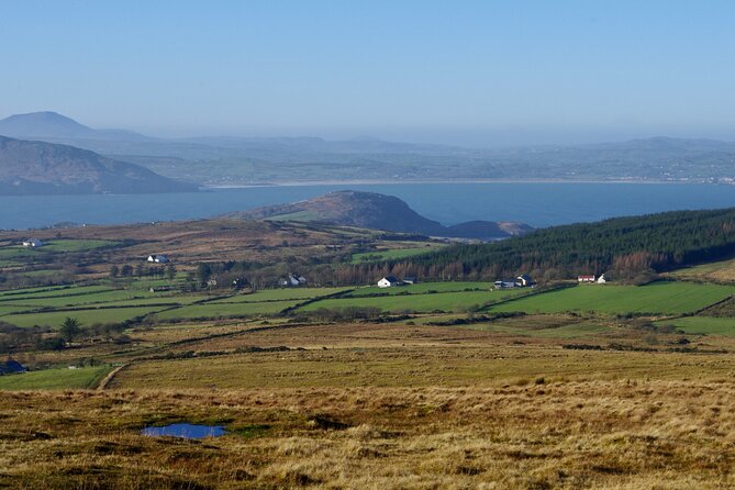 Bog Safari Hike - Walking into Donegal’s old peatland