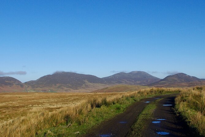 Bog Safari Hike - Big views without the busy stops