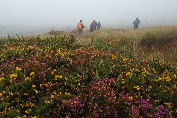 Bog Safari Hike - Is $50.60 a fair price?