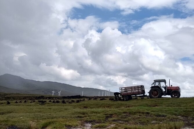 Bog Safari Hike - Fitness, weather, and what to bring