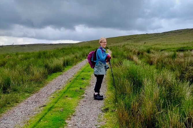Bog Safari Hike - What the two-hour route covers