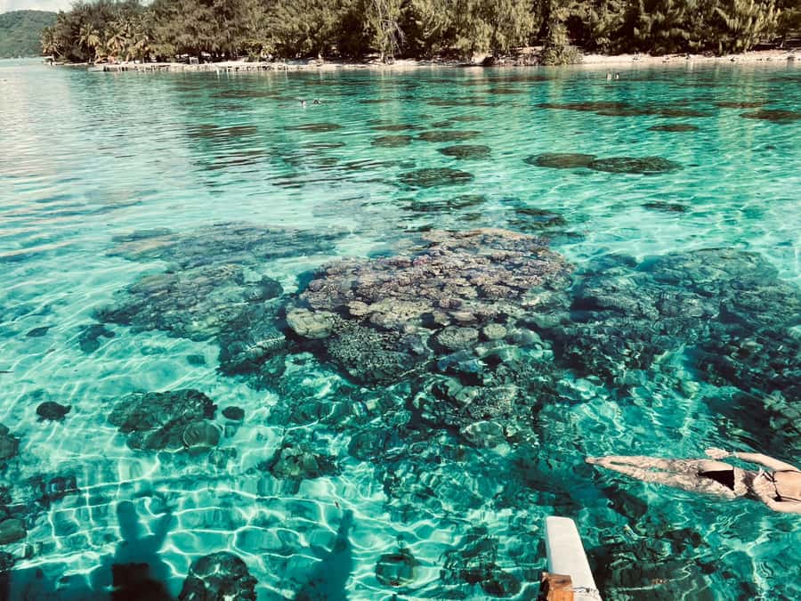 Bora Bora: 1/2 day lagoon safari - Shared tour - Timing, weather, and physical demands