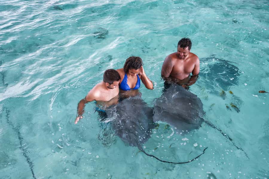 Bora Bora: Eco Shark and Snorkeling Safari - Practical tips for a better swim