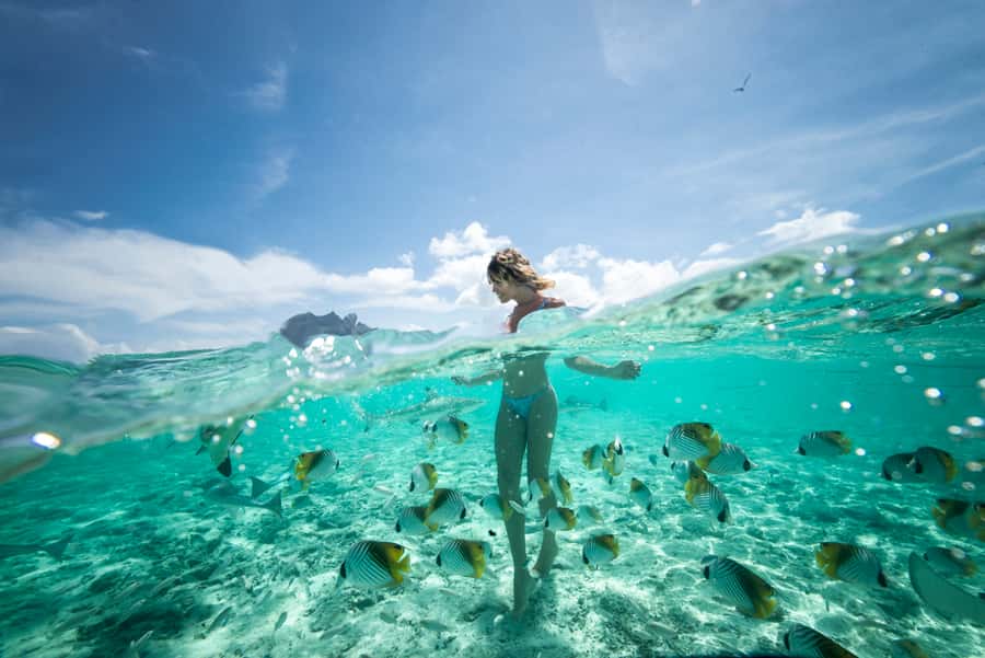 Bora Bora: Eco Shark and Snorkeling Safari - Stop one: black-tip sharks and stingrays