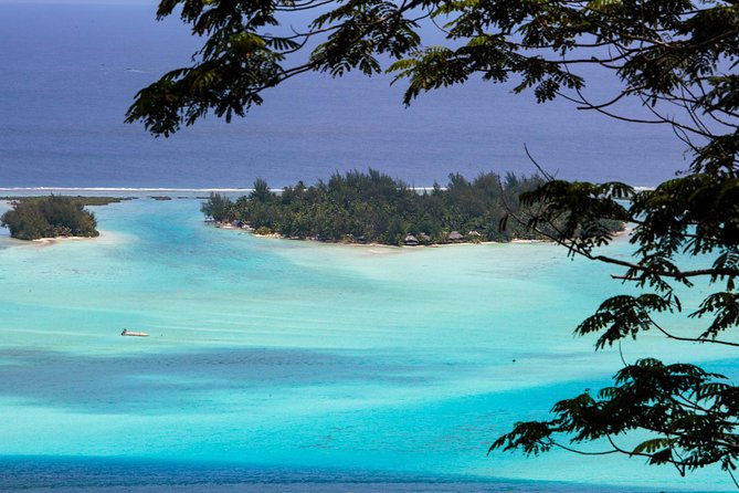 Bora Bora Half Day 4X4 Island Safari Tours - How the price compares with the experience