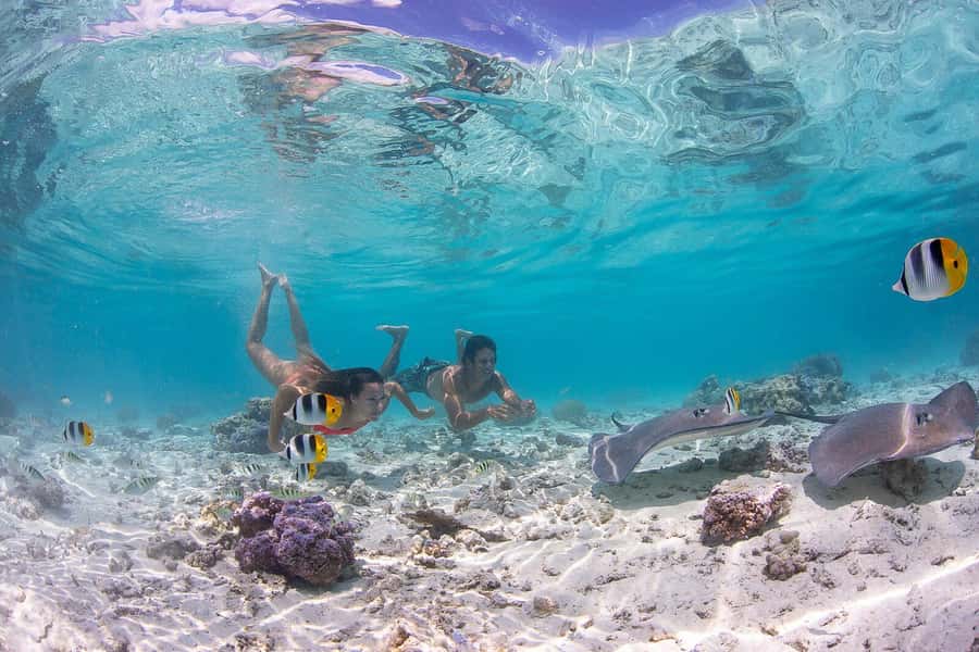 Bora Bora: Jet Ski, Lunch & Shark/ Ray Safari - The best parts of the day
