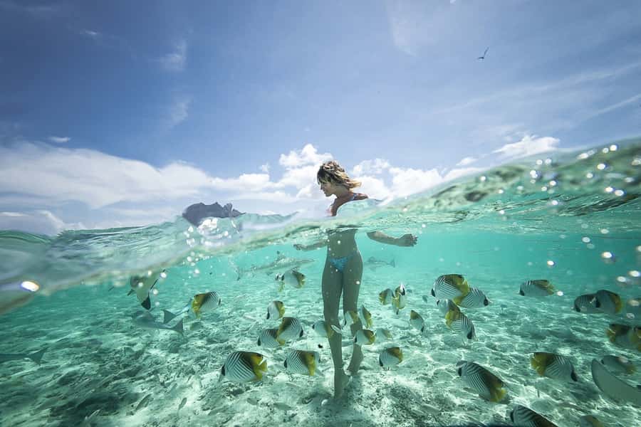 Bora Bora: Jet Ski, Lunch & Shark/ Ray Safari - Lunch at Bloody Mary’s