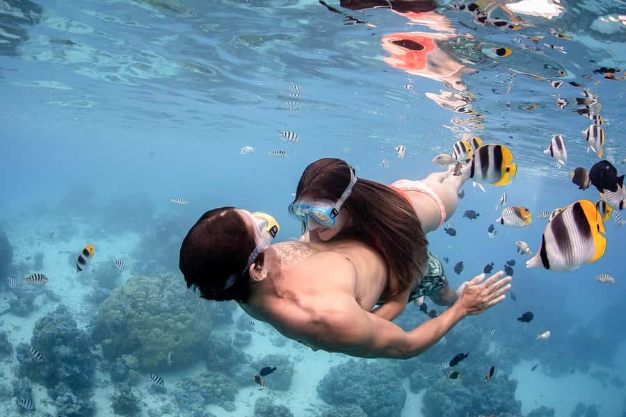 Bora Bora: Jet Ski, Lunch & Shark/ Ray Safari - Meeting black-tip reef sharks and rays