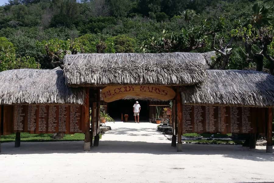 Bora Bora: Jet Ski, Lunch & Shark/ Ray Safari - What the small group changes
