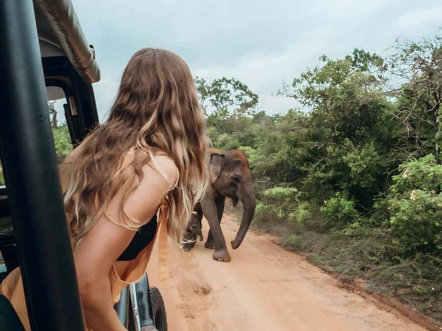 Budget Yala Safari with Accomadation & Meals Included - What this $25 Yala package really includes